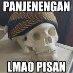by pcr jeno