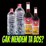 ORANG TUA ORANG TUA Anggur Merah Anggur Merah GAK MENDEM TA BOS?