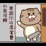 大腦短路