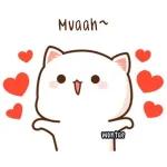 CIUM NI