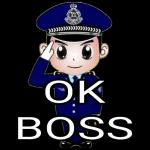 OK BOSS