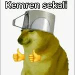 garudz