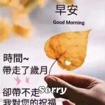 時間~
帶走了歲月
早安
Good Morning
卻帶不走Sorry
我對你的祝福
