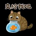 躲貓貓3-貓咪小插畫