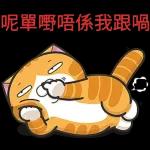  暑埋一二角
Geor
Jentle
cat
小
唔好搵命搏