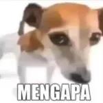 aku setiker