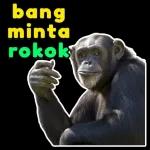 bang minta rokok