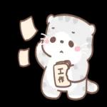 喵喵寶貝：又來啦 