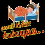 pamit tidurduluyaa..