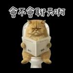 廁所貓貓✩別吵!我在用力✩