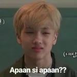 Apaan si apaan？？
