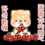 最近好吗～好久没有联系啦