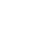 大家好13