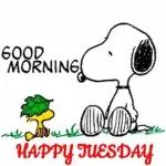 Snoopy 3