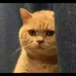 TETEP KALEM GA
BOLEH EMOSI