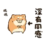 靓仔，生日快乐~~~~