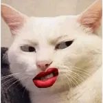 artist