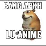 JIKA DIHINA JANGAN AMBIL HATI USAHAKAN AMBIL BATU