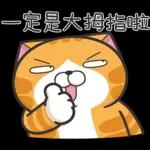 lan-lan-cat-17