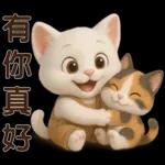 可愛白貓⭐ 日常實用