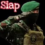 Ok, DIMONITOR.. nDan! 86