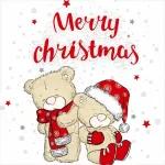 wish you Merry Christmas