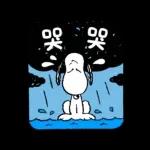 一隻黃色懶貓 x Snoopy