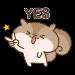 Q松鼠Q♡你好♡4