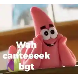                             Ciki 🐣TOP STICKERS