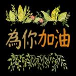 水彩枫与温暖小语 