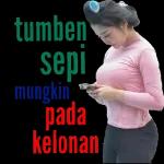Percuma dihapus Wes dicatet malaikat