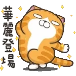 白爛-動態2025-12