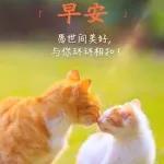 早安愉快🌹🌹🌹平平安安才是福🧧