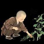 來自小沙彌的祝福37