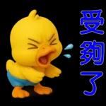 可愛黃鴨⭐日常實用貼
