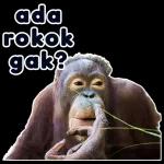 ahh yg bener ntar boong lagi