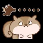 Q松鼠Q♡你好♡4