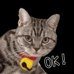 我心臟不好你別嚇我！