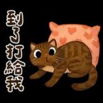 躲貓貓3-貓咪小插畫