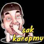 sak karepmu