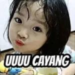 maap yang