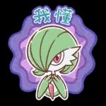 寶可夢-就決定是你了皮卡丘！ 