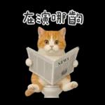 廁所貓貓✩別吵!我在用力✩