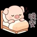 小豬豬愛聊天
