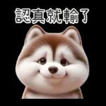 非常可愛的小狗狗