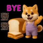 可愛柴犬⭐日常實用