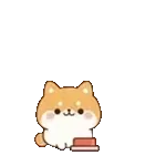 我知道了！