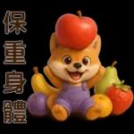 可愛柴犬⭐日常實用