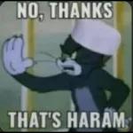 NO, THANKS THAT'S HARAM