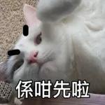 樂狗有話兒~~知我咩料啦